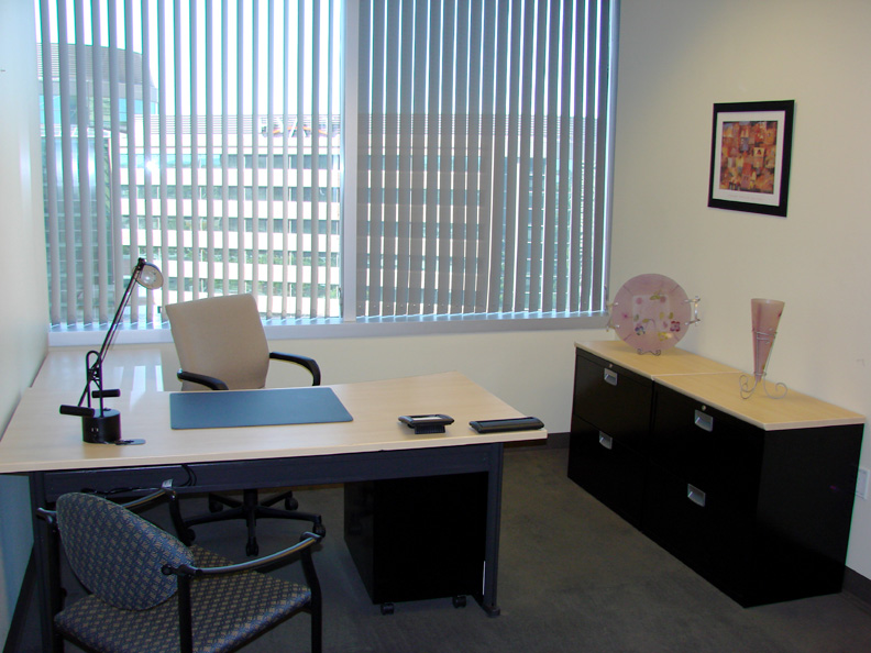 Corporate professionals in meeting